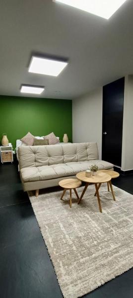 Coliving Condesa Master Suite 1 Cedro